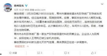 山东最新爆料消息新闻,揭秘重大事件背后真相